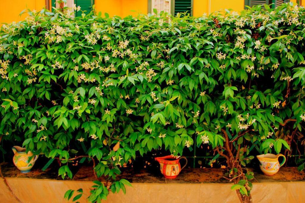 Casa E Per Vacanze Bonifazi Casa de Férias Roma